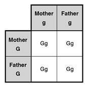 ASVAB General Science Practice Test 2_CrackASVAB.com