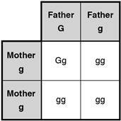 ASVAB General Science Practice Test 2_CrackASVAB.com